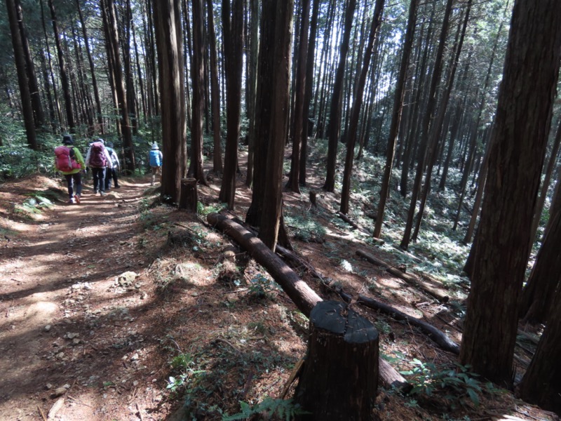 日和田山、物見山